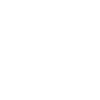 sbnlogolight sbnlogolight